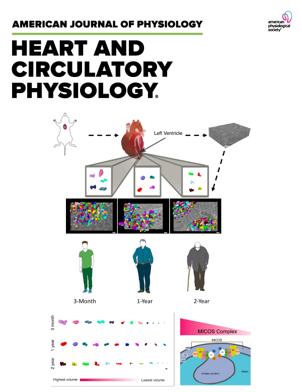 American Journal of Physiology
